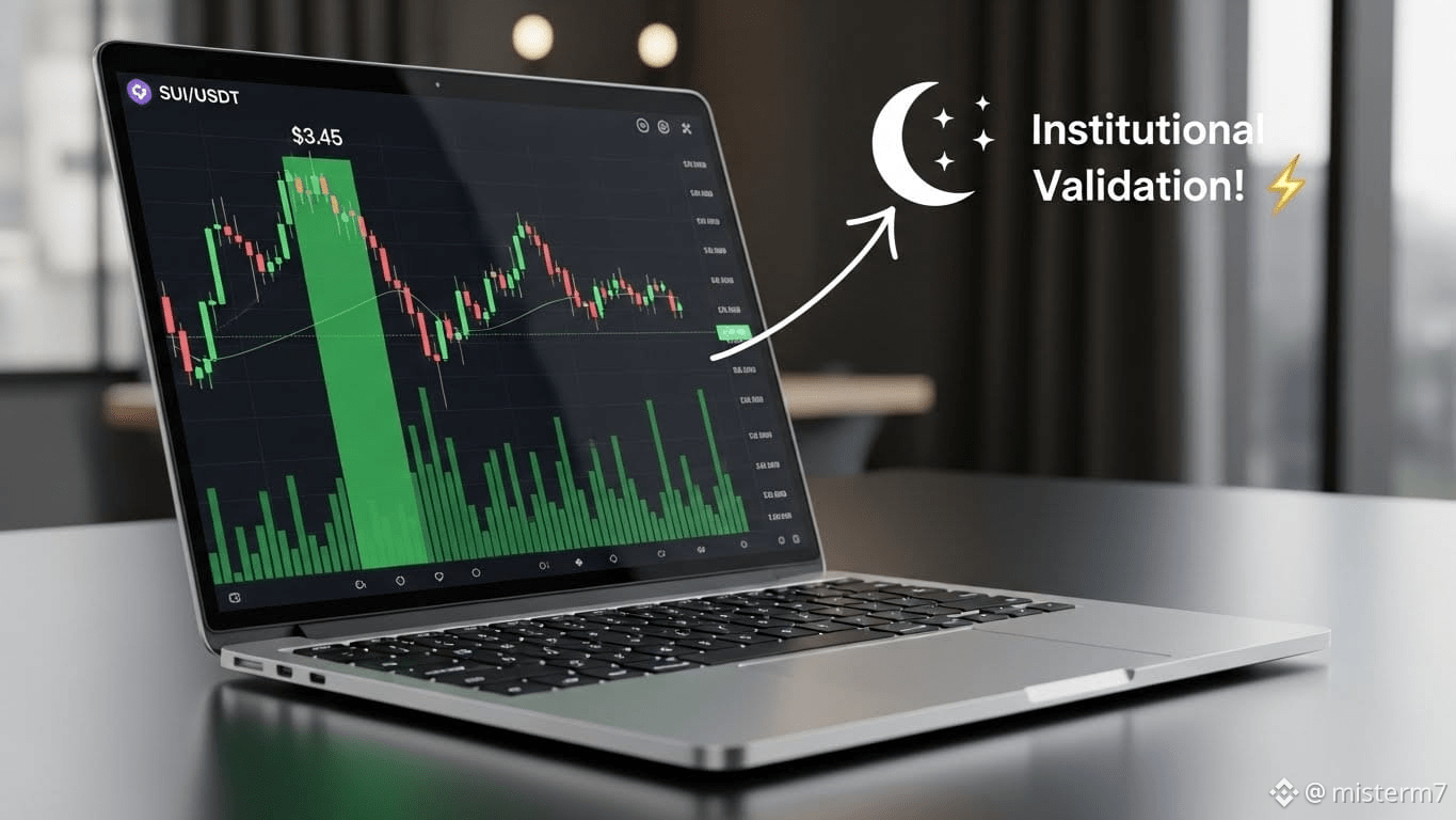 Xrp google gcul comparison (68) foto