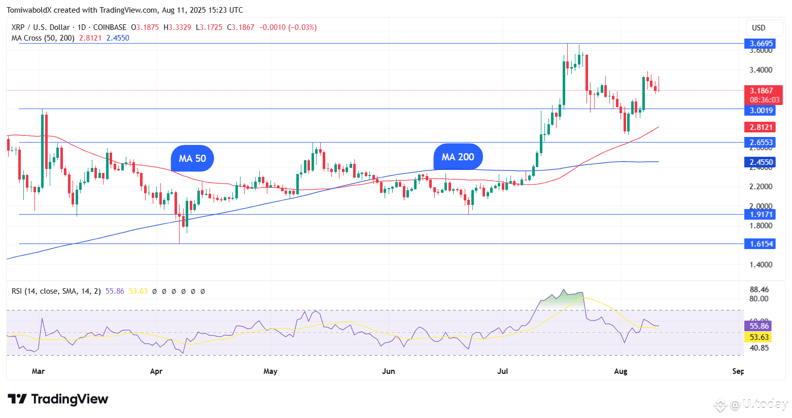 TradingView