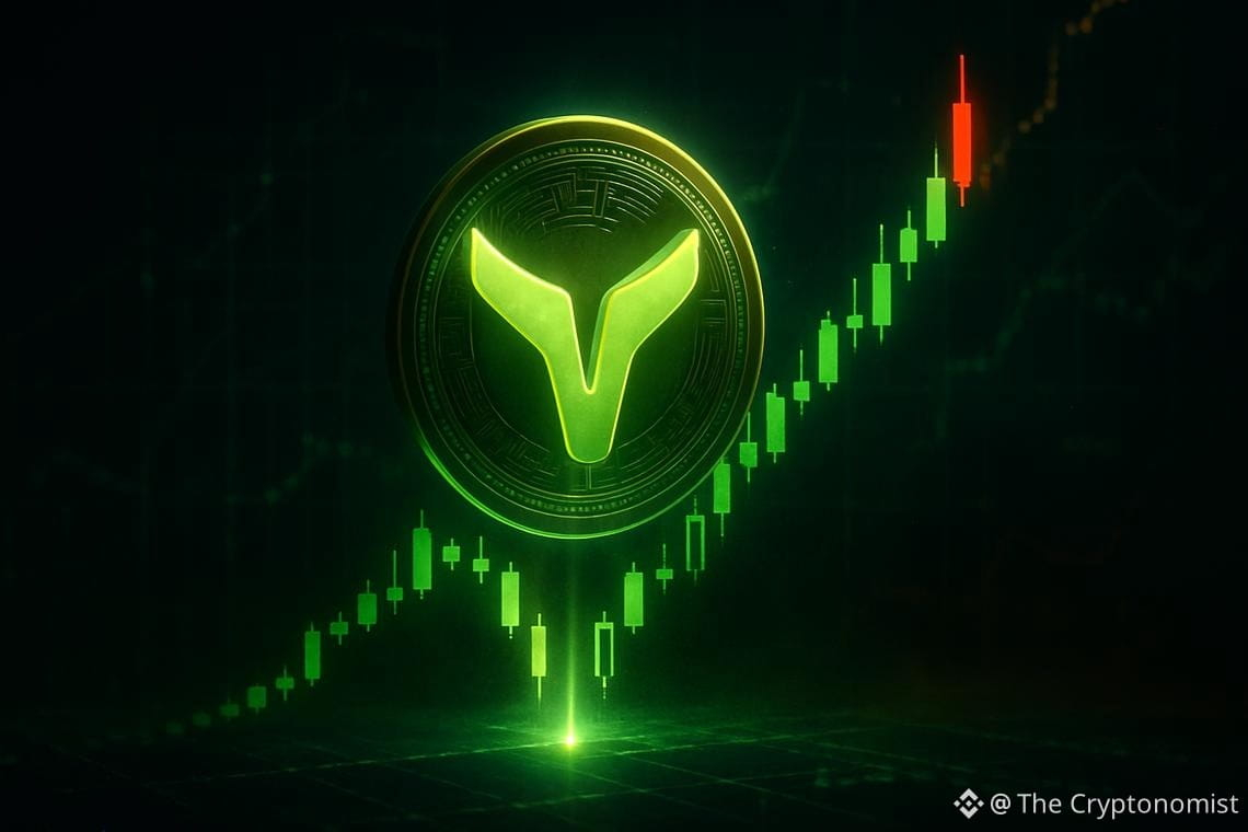 Webull Corporation stock