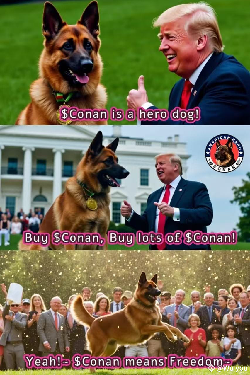 $SIGN $SHELL $SOL C o n a n🔥Three Major Signals Pointing to | Wu you on ...