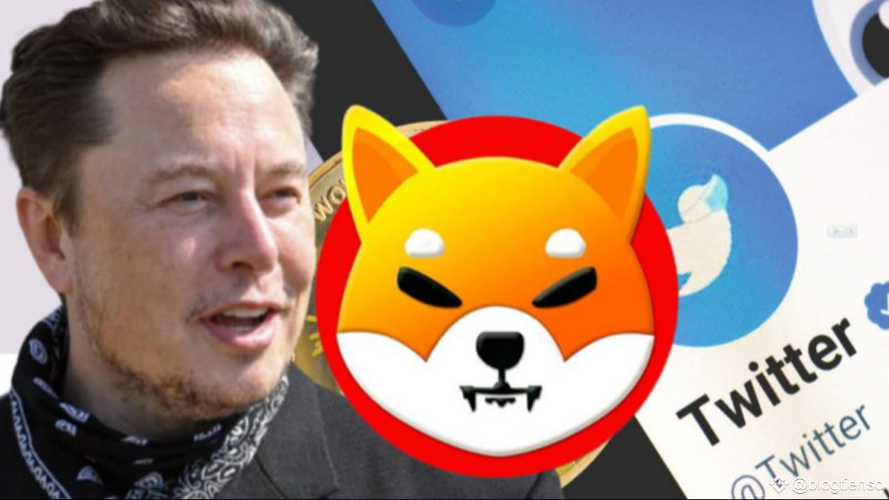 Shiba Inu: Als Elon Musk enthüllte, wie viel $SHIB er besitzt | blogtienso  auf Binance Square