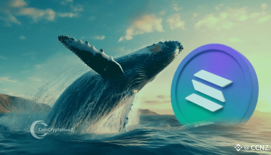 Whale Moves Shake Solana: 108,016 SOL Deposited in 8 Hours