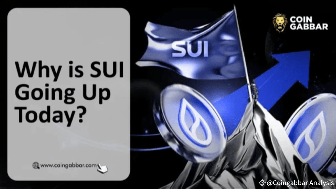 Why is SUI Going Up? Reasons, Price Analysis, and Expert Opinion |  Coingabbar Analysis on Binance Square