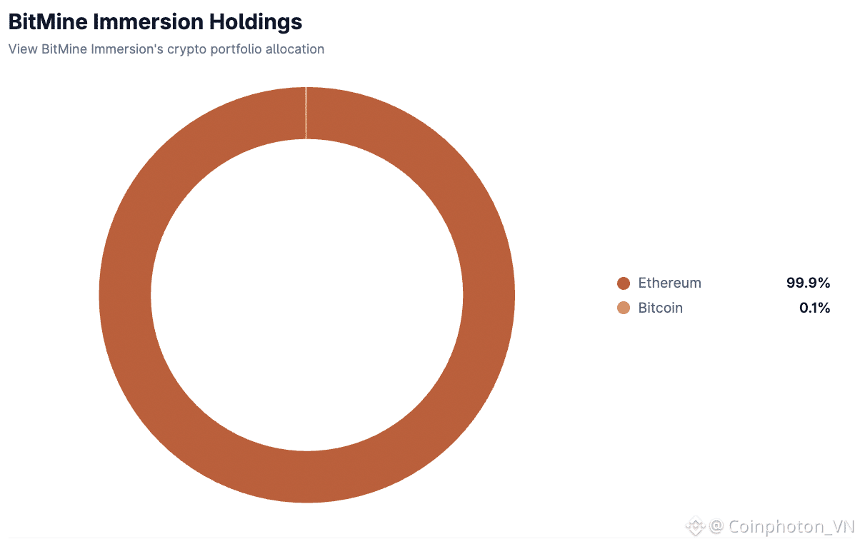 Lượng nắm giữ của BitMine Immersion