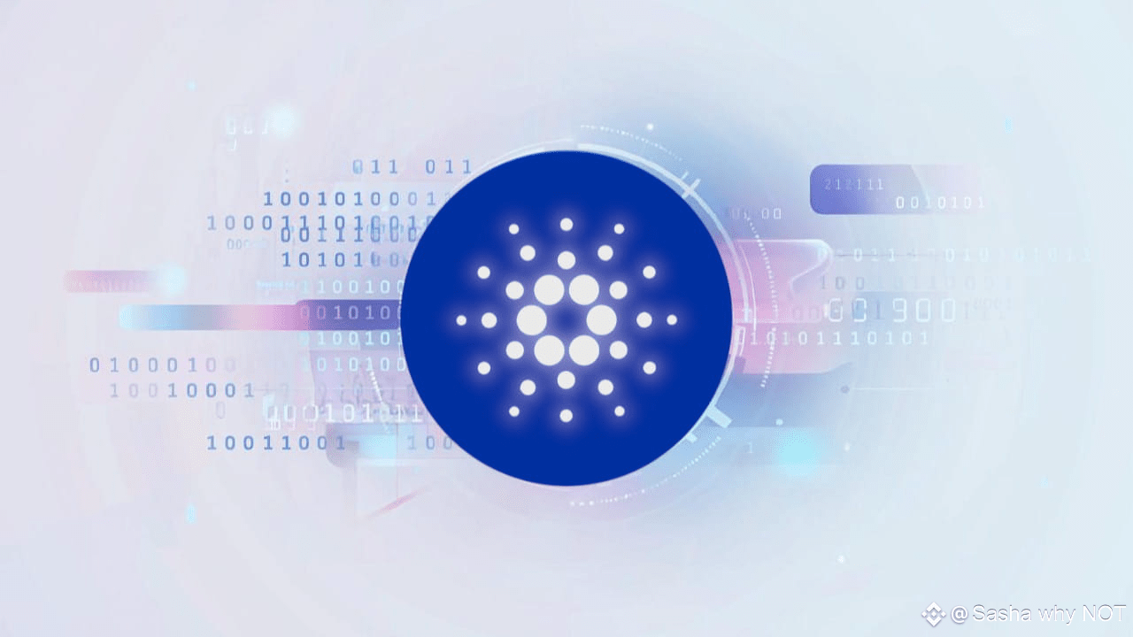 Why Have the Chances of a Cardano ETF Approval Skyrocketed? | Sasha why NOT  on Binance Square