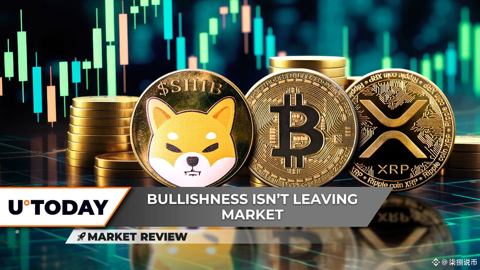 柴犬（SHIB）：基本面转变，XRP 天空不再是极限，比特币（BTC）价格降温