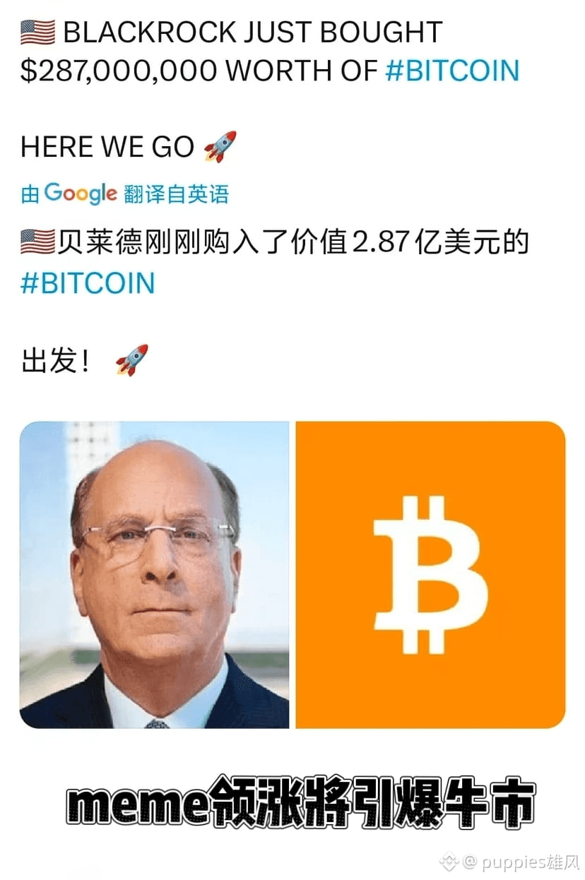 MEME币领涨将引爆🐃市🔥 贝莱德重磅出击！巨鲸入场，3亿美元直投比特币，新一轮金融浪潮已引爆！ 来小奶狗社|