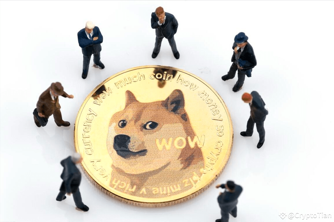 狗狗币（DOGE）波涛汹涌，能否上升到1美元？狗狗币的潜在优势！ | CryptoTian в Binance Square