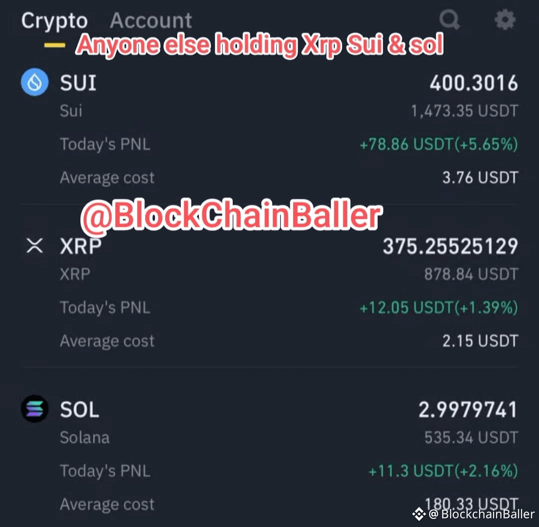 Is sui crypto on coinbase (84) 사진