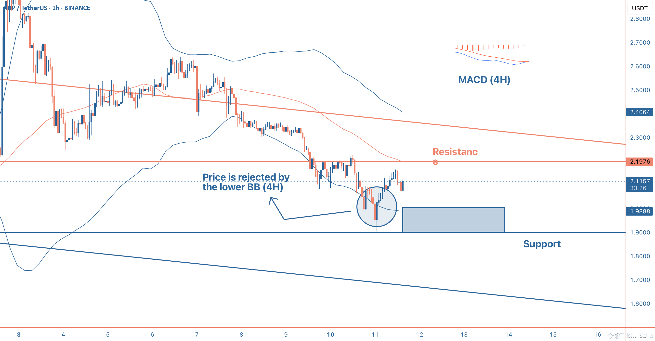 XRP on the Brink🧐 | Trisha_Saha on Binance Square