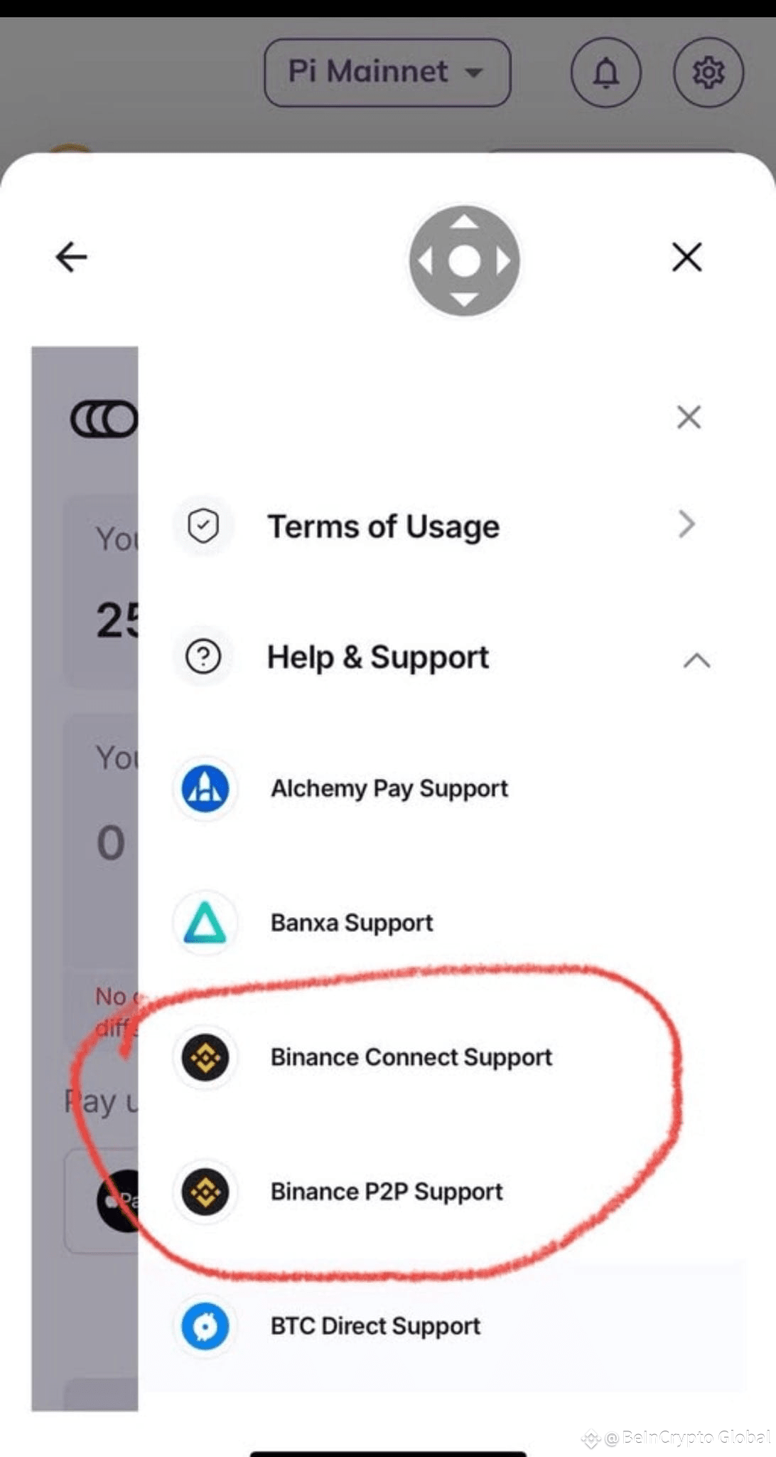 Binance Support Options in Pi Wallet.