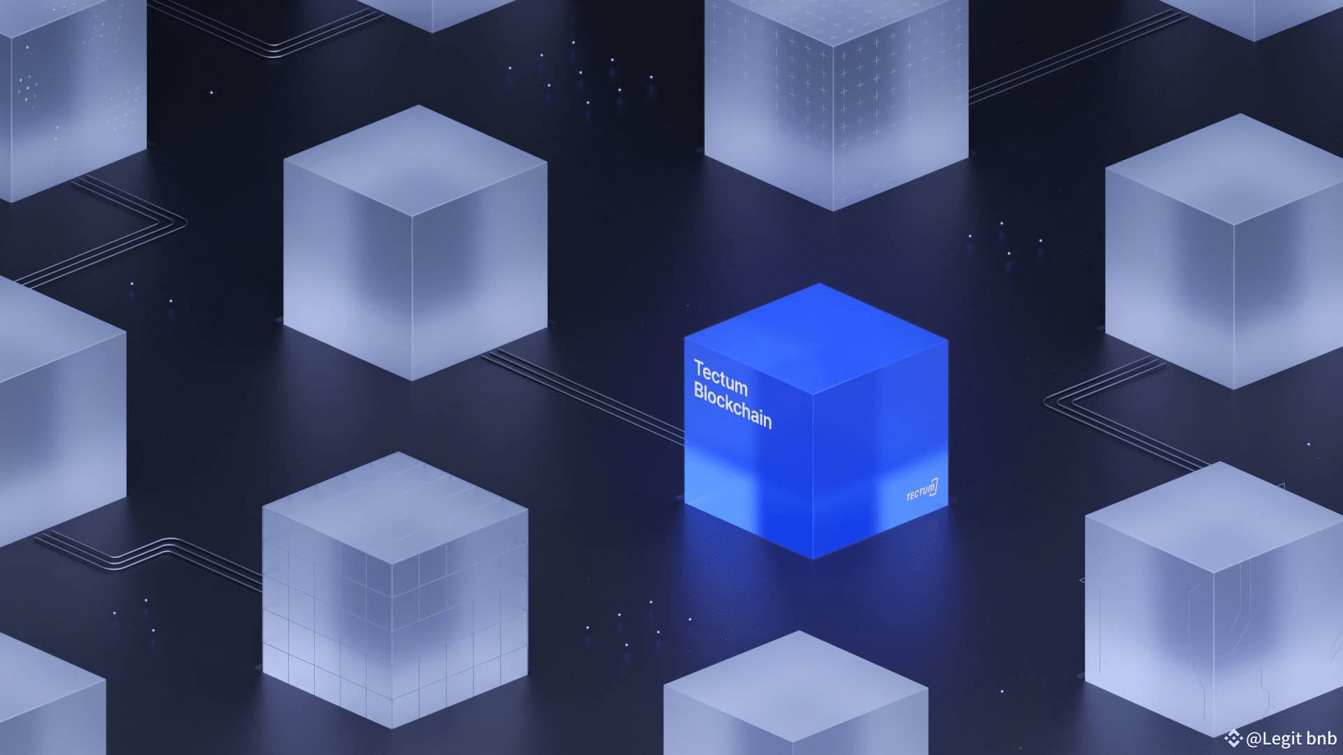 Latest #tectum News, Opinions and Feed Today | Binance Square