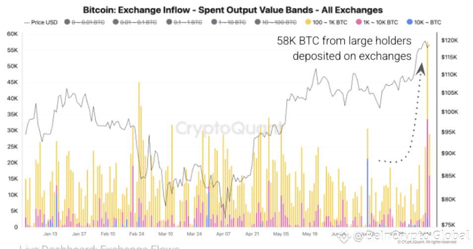 Bitcoin Whales Transfer to Exchanges.
