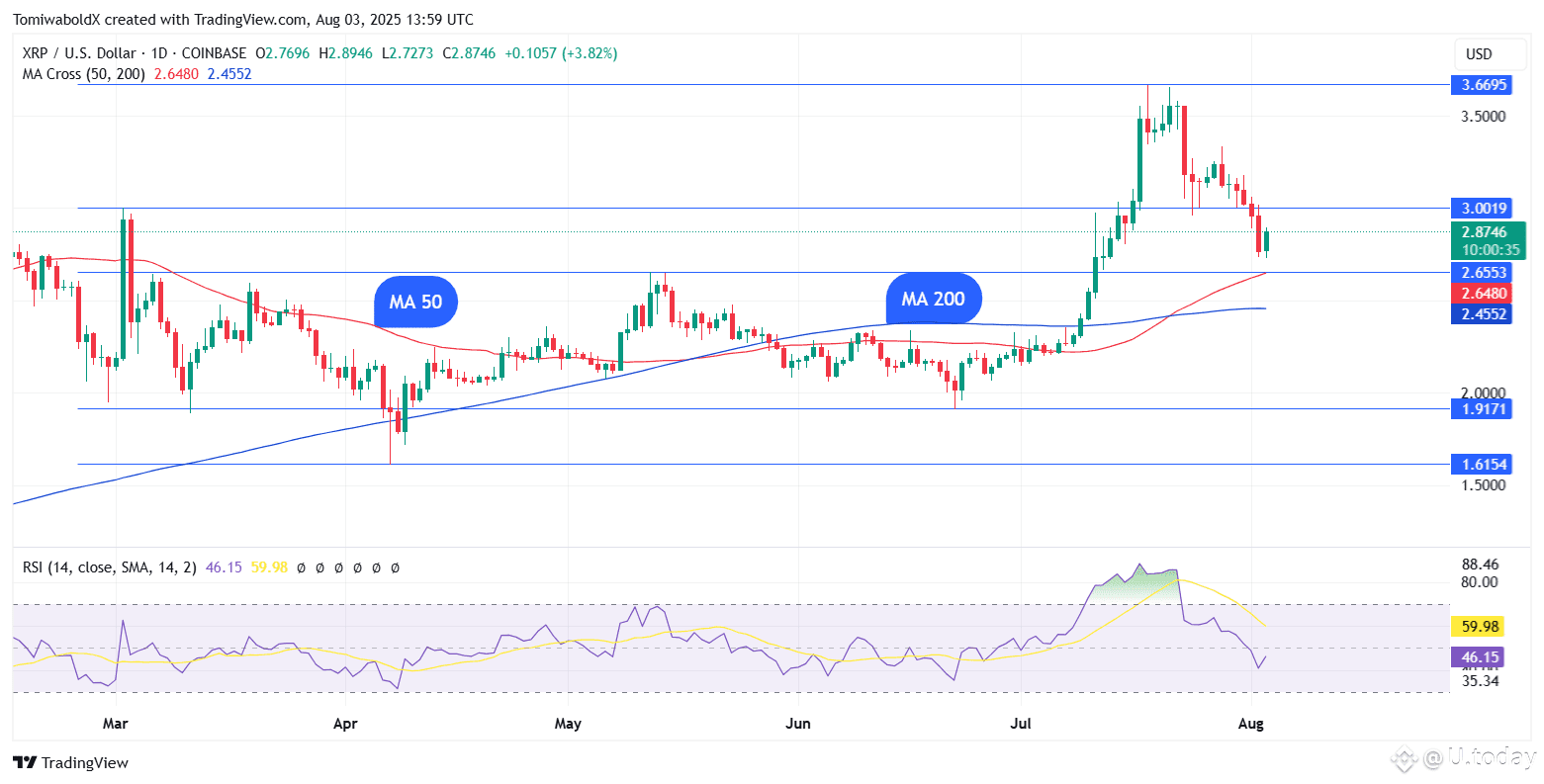 TradingView