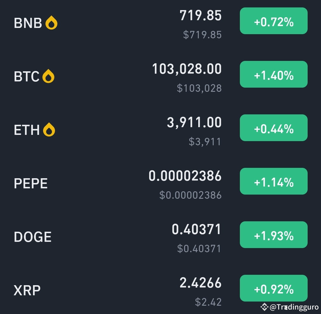Analyze each asset's performance (e.g., #BNBO , $BICO , | Tradingguro ...