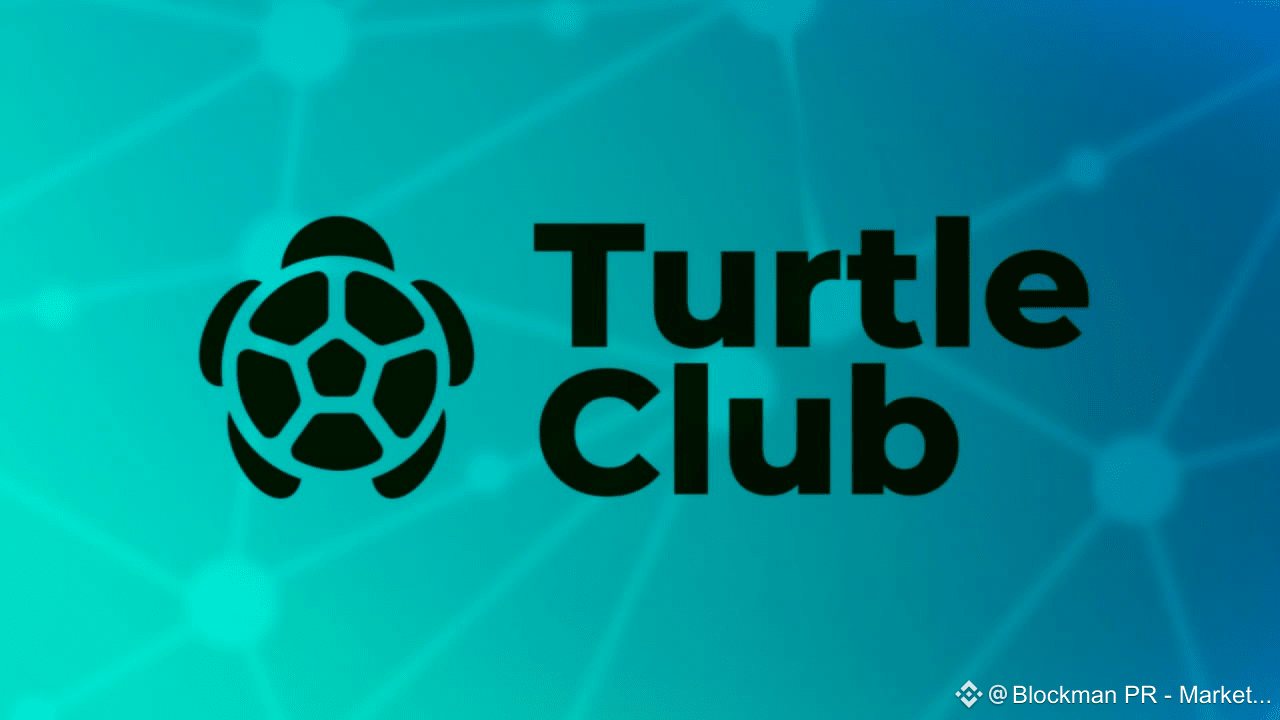 Turtle Club raises $6.2M to advance onchain liquidity distribution protocol  | Blockman PR - Marketing on Binance Square