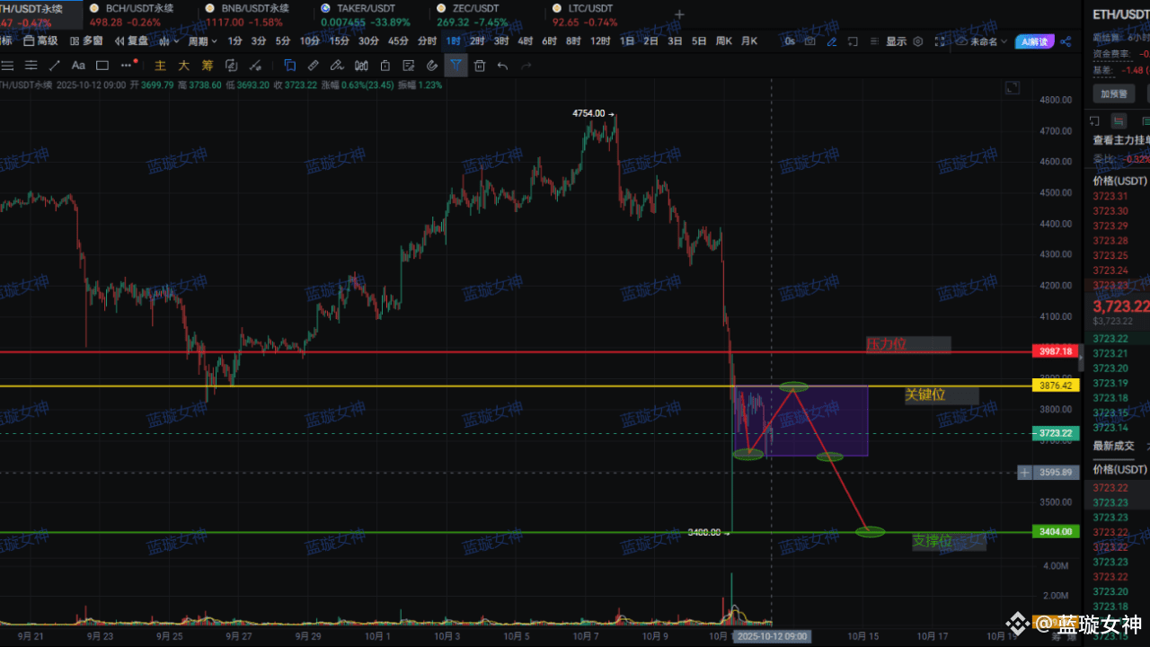 巨鯨割肉1292萬！神祕資金狂買4.5億ETH！多空生死戰就在今晚，套牢者不看虧大了！ | 幣安廣場上的链上城主