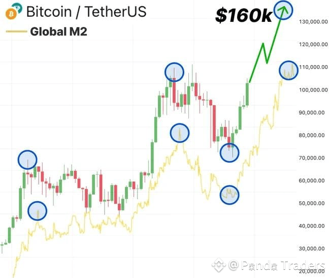 This indicator Predicted $BTC rise to $69k in 2021 ! Money S | Panda ...
