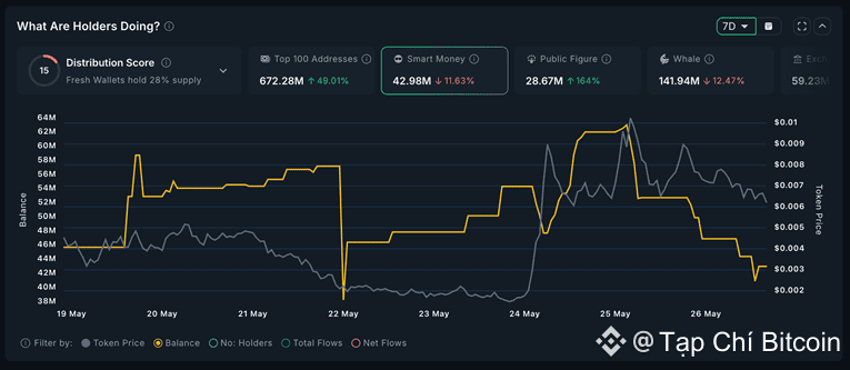 memecoin 