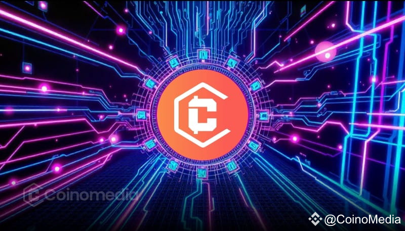 USDT Dominance Signals Potential Altcoin Rally