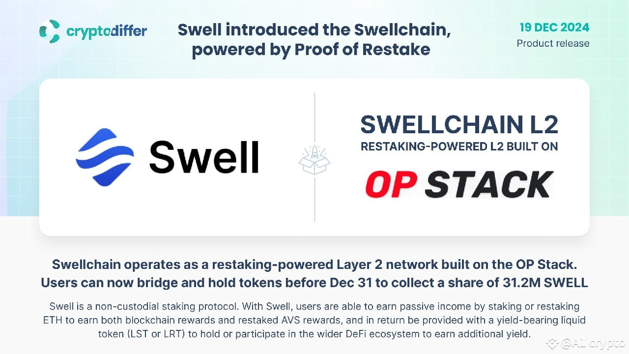 Latest #swellnetwork News, Opinions and Feed Today | Binance Square