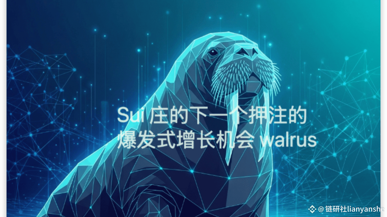 The next betting opportunity for Sui operators: the explosive growth  opportunity of Walrus | 链研社lianyanshe on Binance Square
