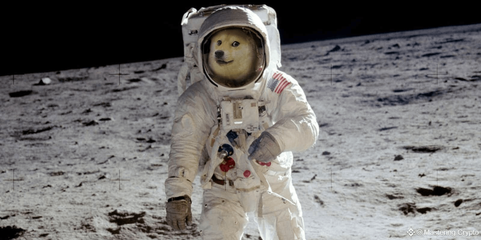 🐶 How Many $DOGE Coins Do You Need to Become a Millionaire | Mastering  Crypto on Binance Square