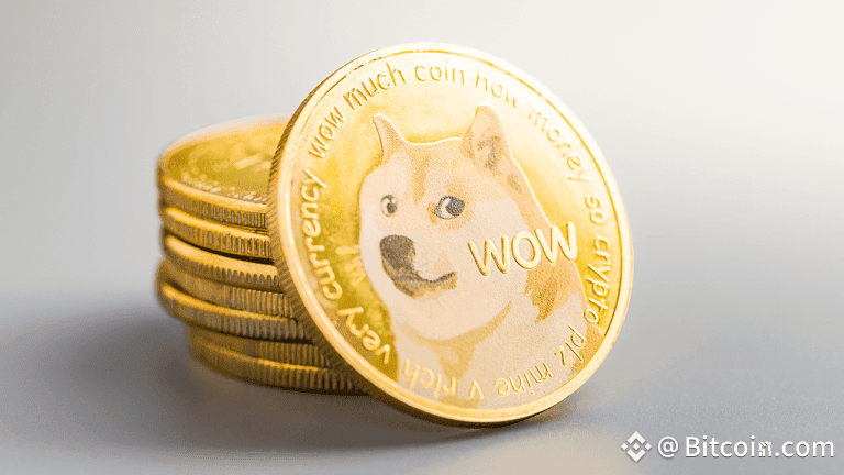Nasdaq-Listed Firm Bets Big on DOGE With Massive Capital Raise