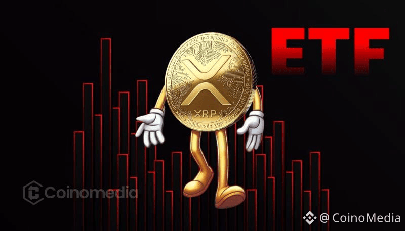 XRP Spot ETFs See Daily Inflows Since Launch