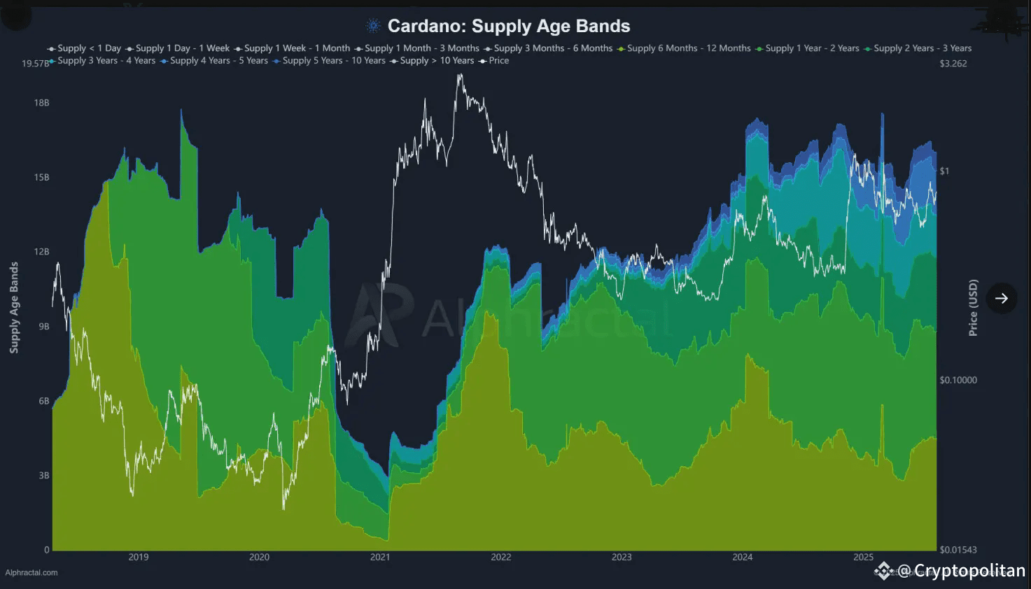 Cardano long-term holders accumulate since 2021 with minimal profit-taking.