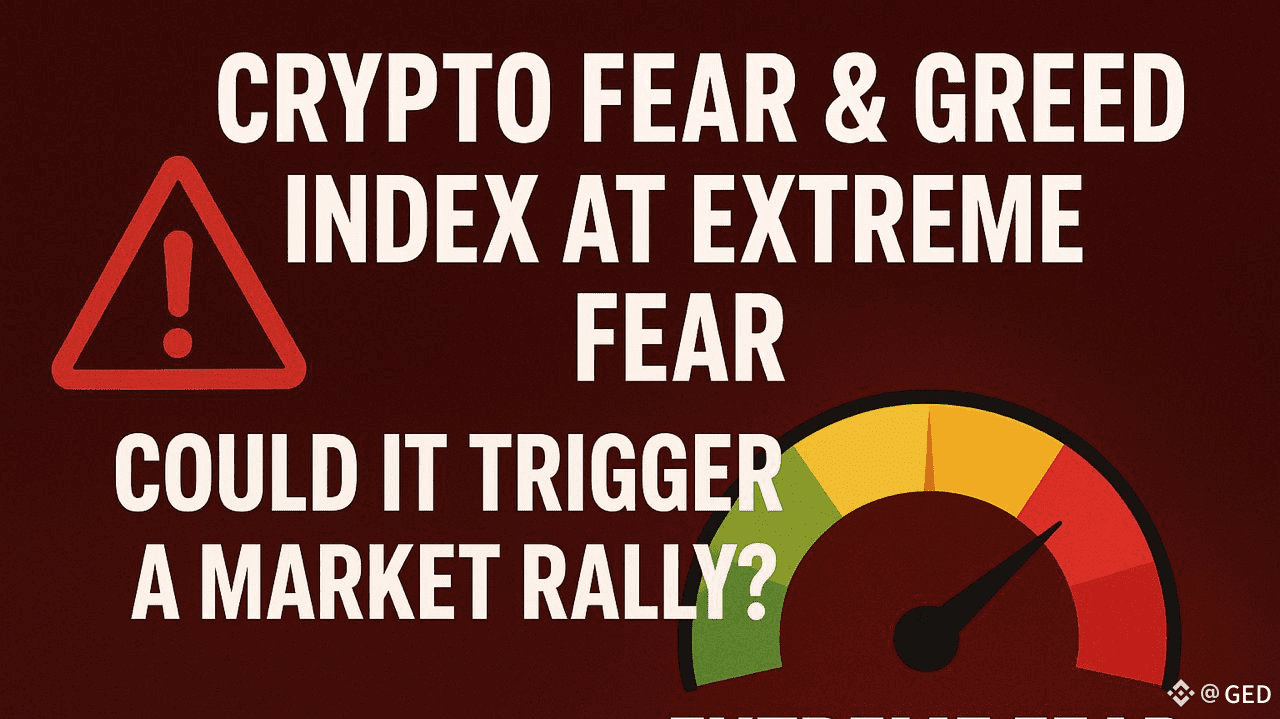 Crypto Fear & Greed Index Hits Extreme Fear: Is This the Market Rebound  Signal Everyone Is Missing? | GED on Binance Square
