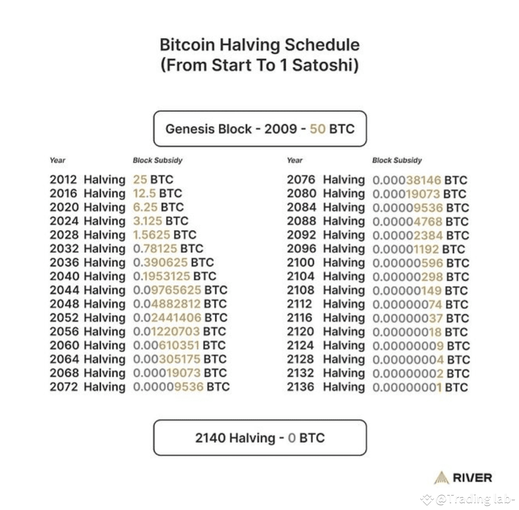 最后一枚比特币| Trading lab-发布于币安广场