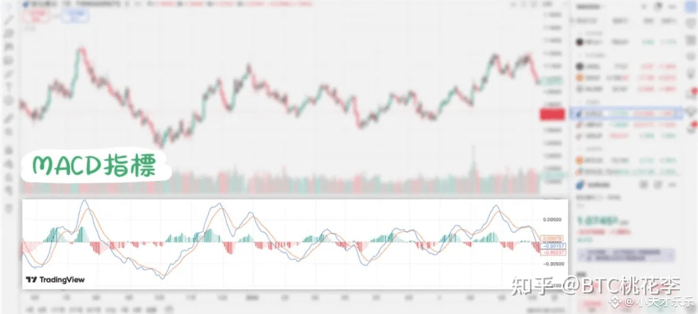 有一个最笨的炒币方法，几乎100%盈利。我就是用这个方法赚了4000多w！ | 小天才乐乐发布于币安广场
