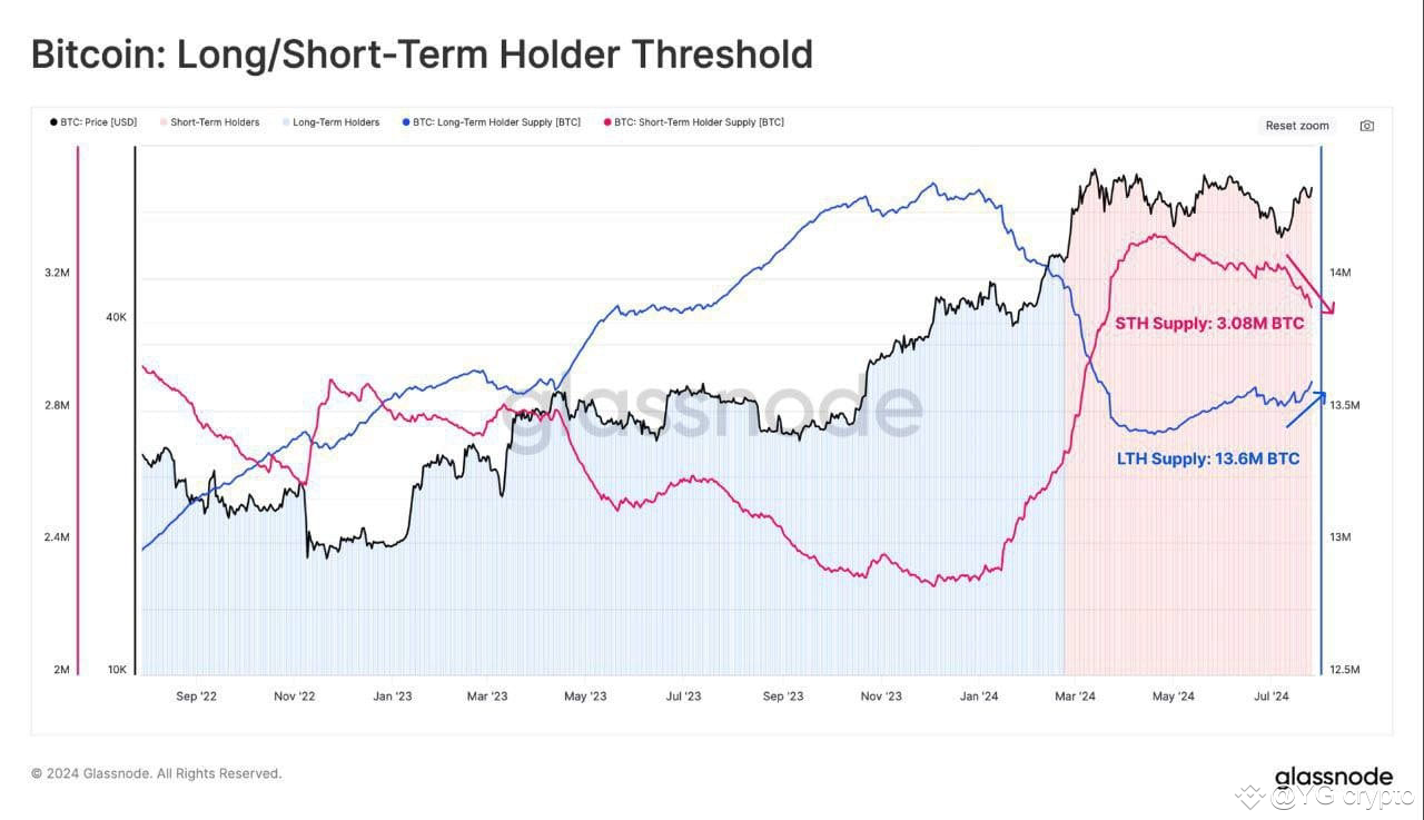 🚨📈 #Bitcoin Update: Long-term holders (LTHs) are on the | YG crypto on  Binance Square