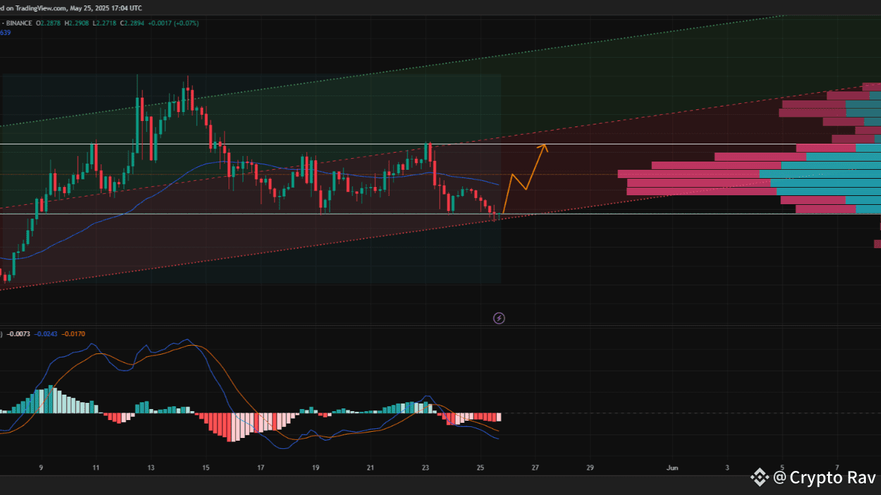 XRP Poised for Rebound from Key Support as Market Strength Holds | KrypZo  on Binance Square