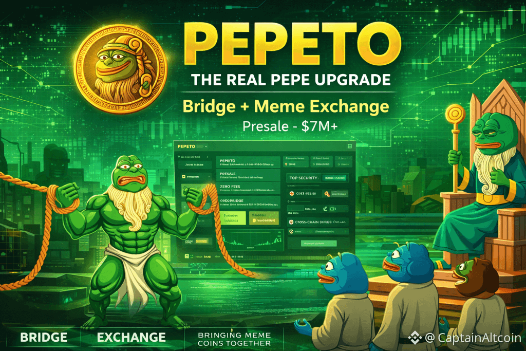Pepeto Launch Date: Team Finishes Final Tools to Launch Into a Rising ...