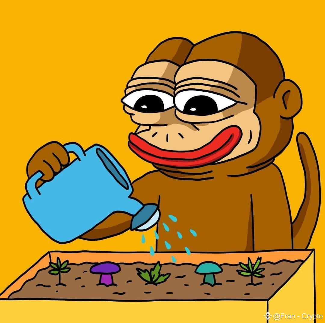 Latest #ponke News, Opinions and Feed Today | Binance Square