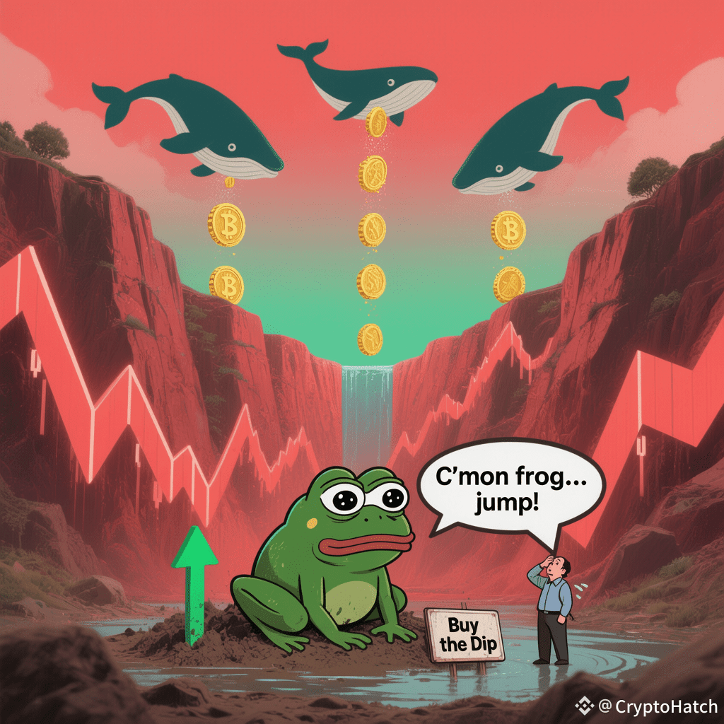 🐸 $PEPE Took a Beating… But Is This Oversold #Frog About to | CryptoHatch  on Binance Square