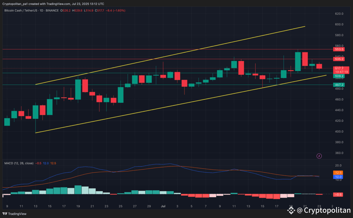 Bitcoin Cash 1-day price analysis