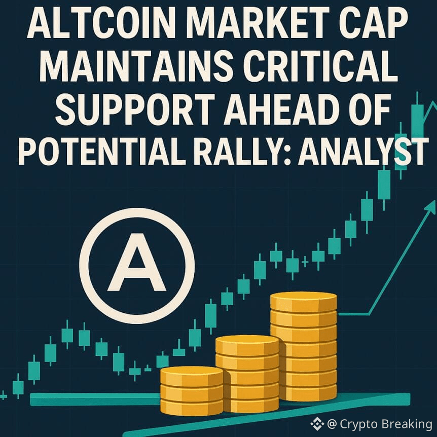 Altcoin Market Cap Maintains Critical Support Ahead Of Potential Rally: Analyst