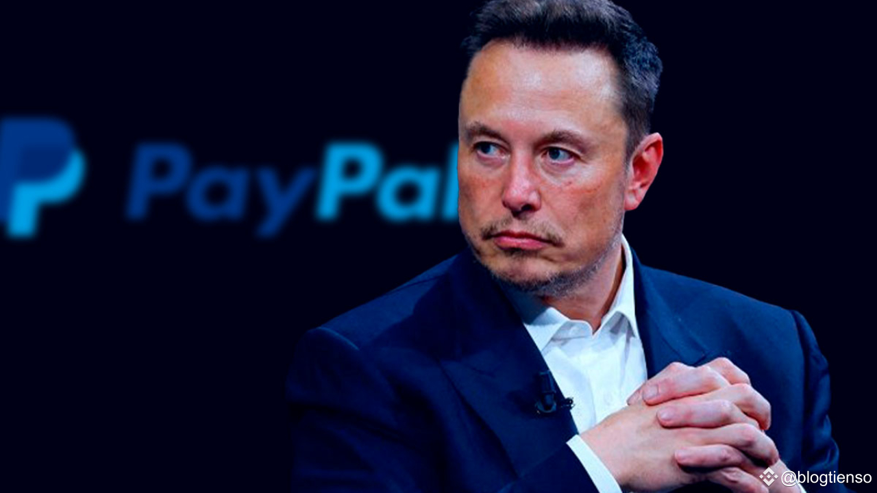Elon Musk and the PayPal Story: Bankruptcy that Shaped a Visionary
