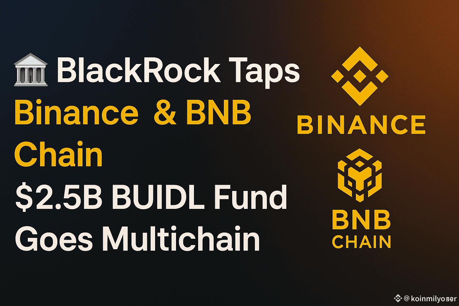 🏦 #BlackRock Taps #Binance & #BNBChain $2.5B BUIDL Fund | koinmilyoner on  Binance Square