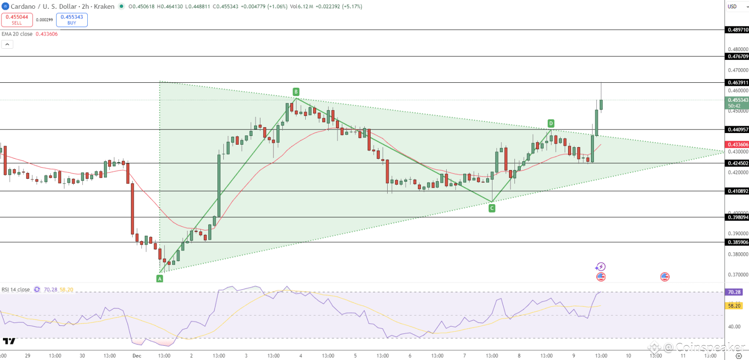 Cardano midnight mining (69) foto