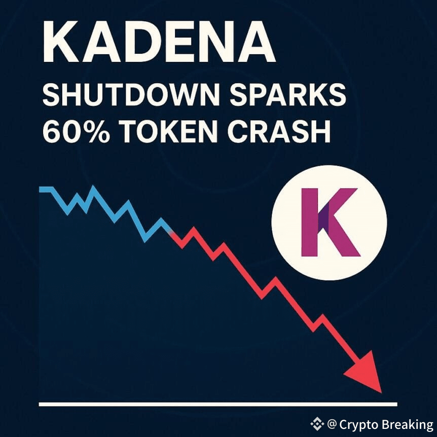 Kadena Shutdown Sparks 60% Token Crash As Founders Exit