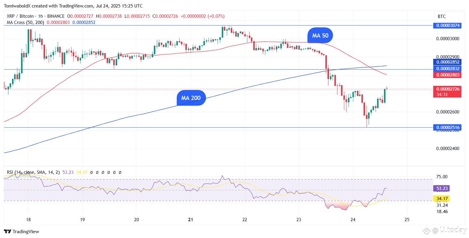 TradingView