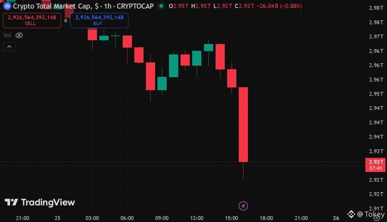 tradi 関連最新ニュース、オピニオン、今日のフィード | Binance Square