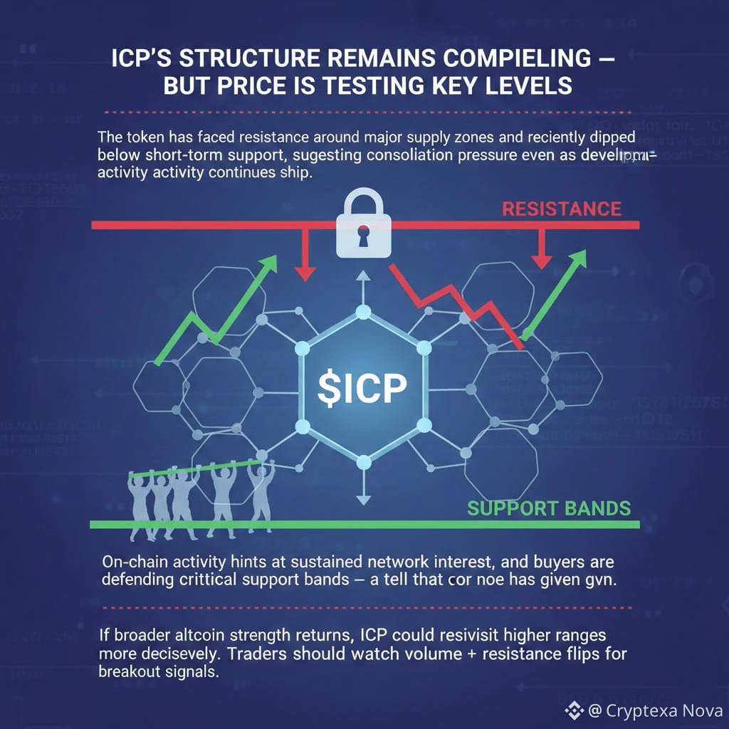 $ICP INTERNET COMPUTER PROTOCOL 🚀 ICP’S STRUCTURE REMAINS | Cryptexa ...