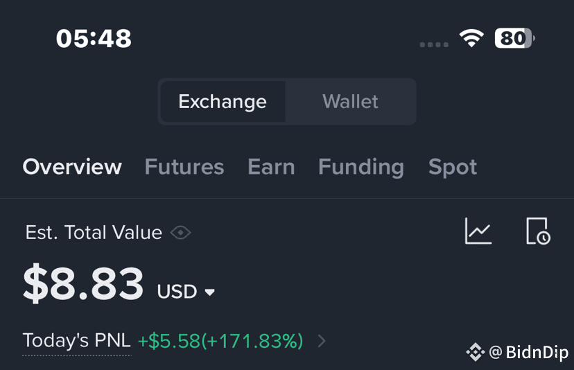 5th-day-in-my-challenge-1-dollar-convert-into-8-bidndip-on-binance