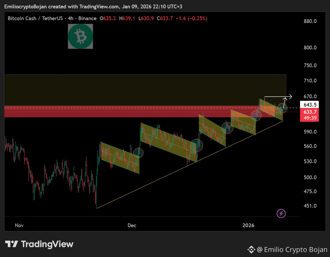 BCH bulls have firmly held strong, preventing Bitcoin Cash | Emilio Crypto  Bojan on Binance Square