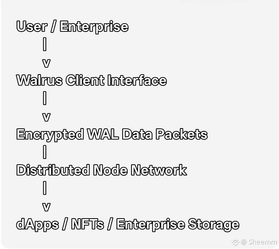 VIRTUAL Virtuals Protocol was founded in 2021 by Jansen | Sheemm on Binance  Square